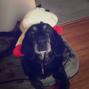 Meet your Posher, Jordan